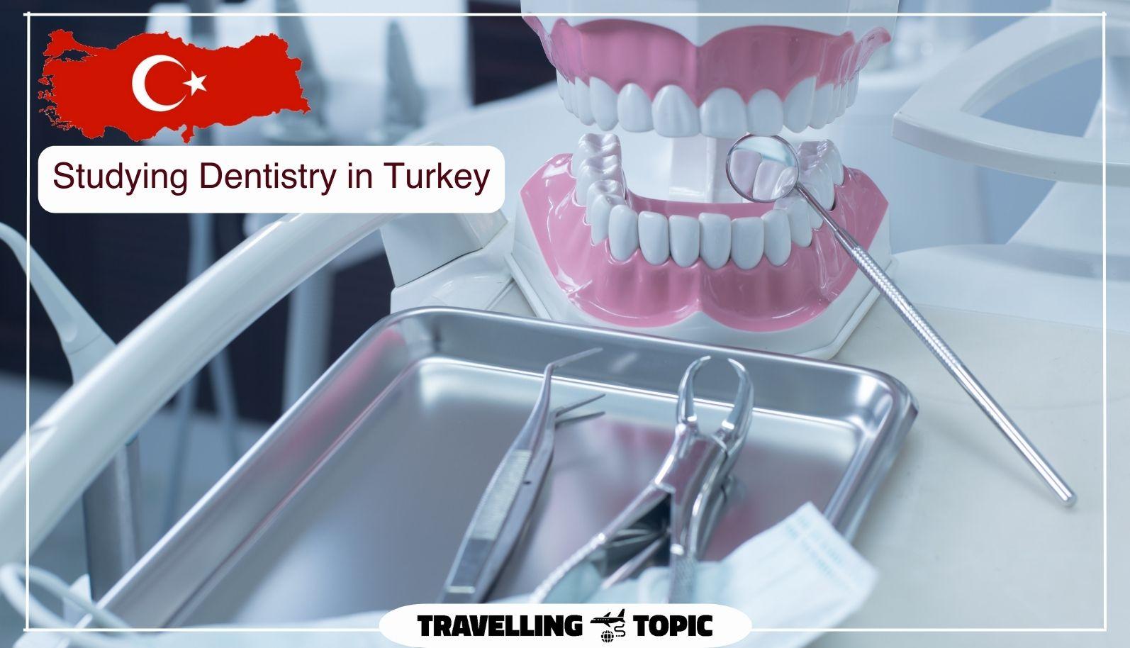 Dentist Salary In Turkey How Much Do Dentists Make In Turkey dentist-salary-in-turkey-how-much-do-dentists-make-in-turkey